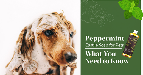 Peppermint Castile Soap for Pets