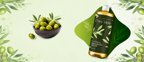 Nourish with Olive